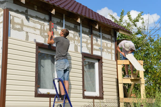 Best Custom Siding Design  in Eleanor, WV